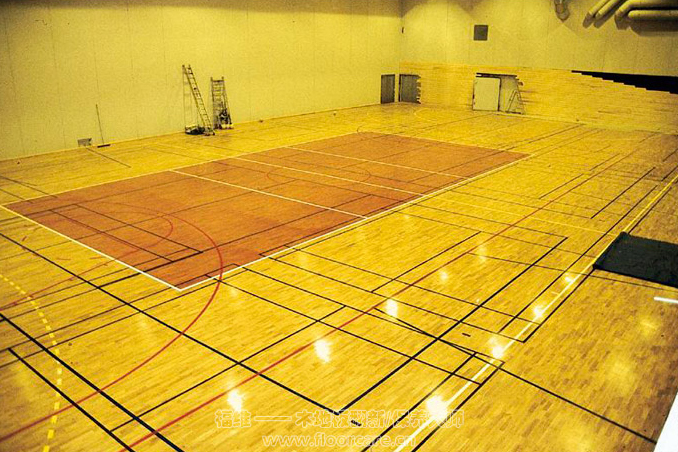 運(yùn)動(dòng)木地板 運(yùn)動(dòng)木地板