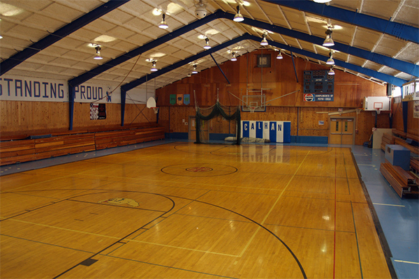 實(shí)木運(yùn)動(dòng)地板 實(shí)木運(yùn)動(dòng)地板