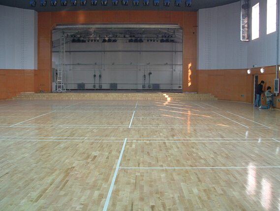 實(shí)木運(yùn)動(dòng)地板,運(yùn)動(dòng)地板,運(yùn)動(dòng)木地板