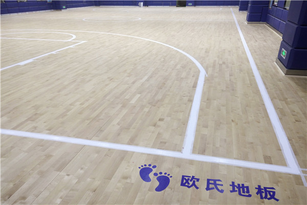 楓木,好的實(shí)木運(yùn)動地板的原料