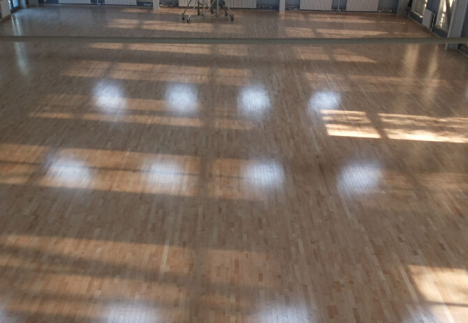 運(yùn)動(dòng)木地板 運(yùn)動(dòng)木地板