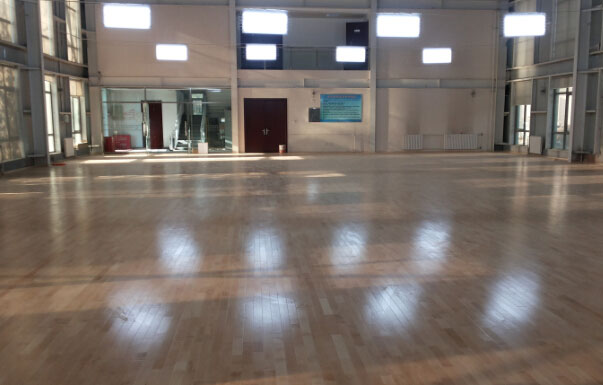 運(yùn)動(dòng)木地板 運(yùn)動(dòng)木地板