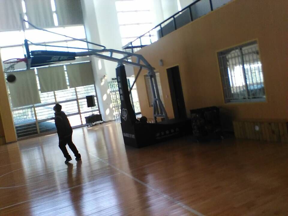 運(yùn)動木地板