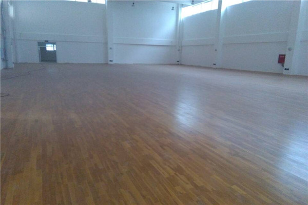 運(yùn)動(dòng)木地板 運(yùn)動(dòng)木地板