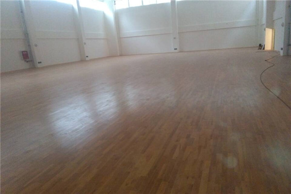 運(yùn)動(dòng)木地板 運(yùn)動(dòng)木地板