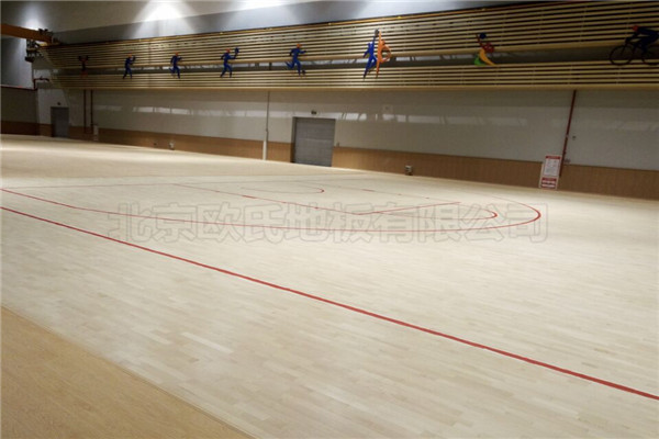 運(yùn)動(dòng)木地板 運(yùn)動(dòng)木地板